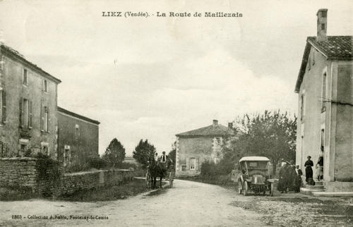 La route de Maillezais à Liez. Marais poitevin