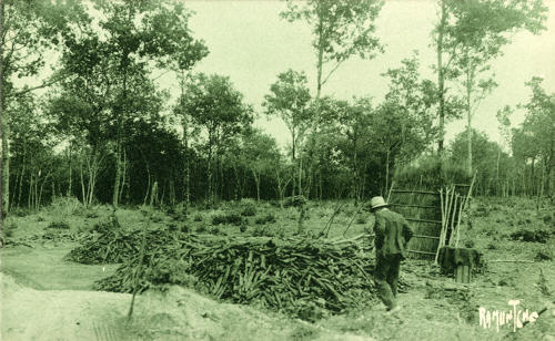 Forêt de Benon, triage du charbon de bois