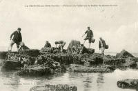 942 La Tranche-sur-Mer – Pêcheurs de Crabes sur le Rocher du Groin du Cou 