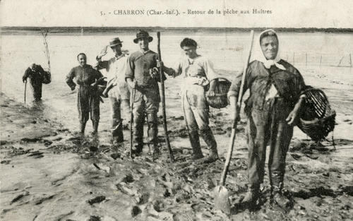 Charron – Retour de la pêche aux huîtres