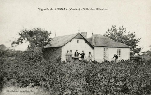 Vignoble de Rosnay – Villa des Blénières