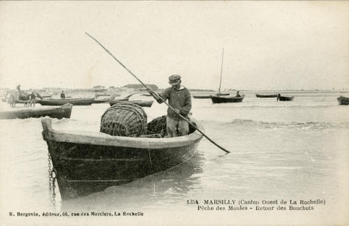 Marsilly – Pêche des moules, retour des bouchots