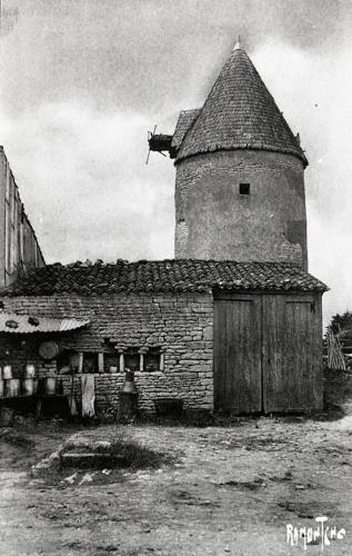 Saint-Hilaire-la-Palud - Vieux moulin. Marais poitevin