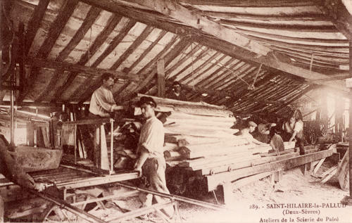 Saint-Hilaire-la-Palud - Ateliers de la scierie du Payré
