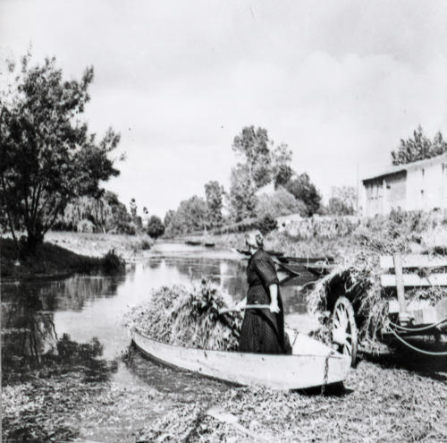Une femme décharge de la barque des produits du Marais - Marais poitevin