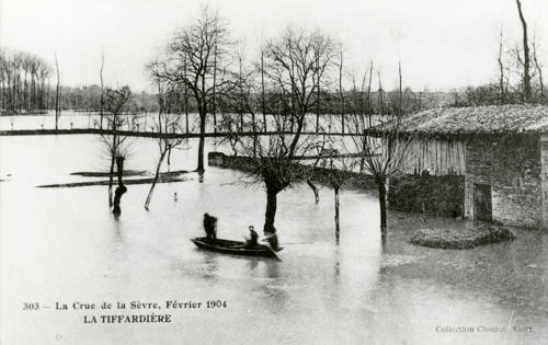 La Tiffardière - La crue de la Sèvre, février 1904. Marais poitevin