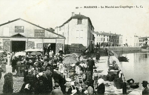 Marans - Le Marché aux coquillages. Marais poitevin