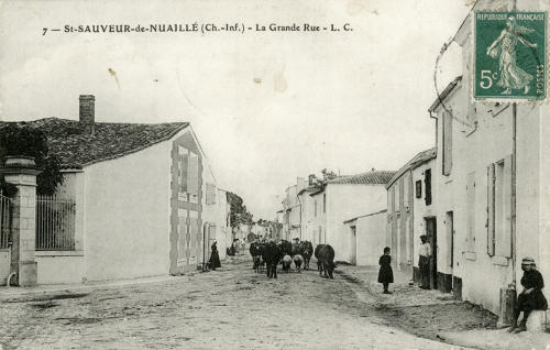 Saint-Sauveur-d'Aunis - Grande-Rue. Marais poitevin
