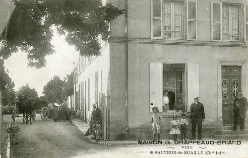 Saint-Sauveur-d'Aunis - Maison G. Drappeaud-Briand, vins. Marais poitevin