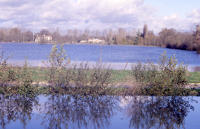 2003 Damvix - Inondation. Marais poitevin 
