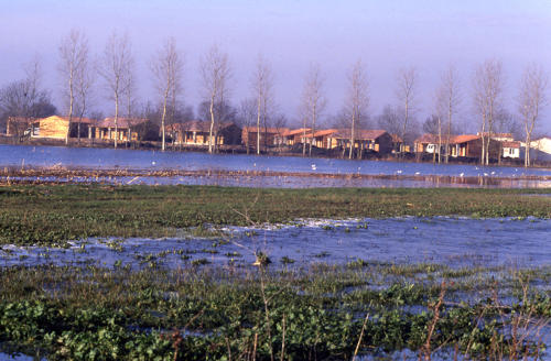 Damvix - Inondation. Marais poitevin