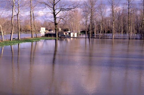Arçais - Inondation. Marais poitevin