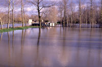 2005 Arçais - Inondation. Marais poitevin 