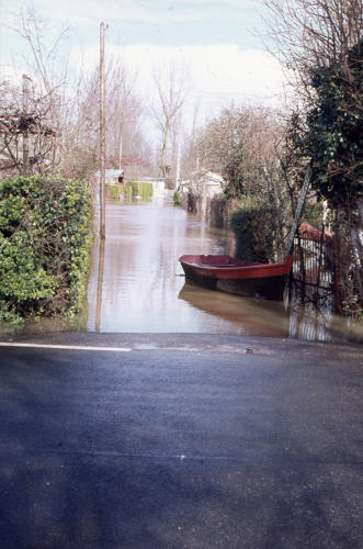 Magné-Sevreau - Inondation. Marais poitevin