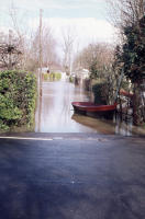 2008 Magné-Sevreau - Inondation. Marais poitevin 