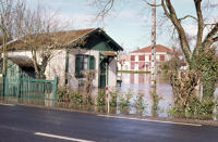 2009 Magné-Sevreau - Inondation. Marais poitevin 