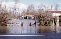 2011 Magné-Sevreau - Inondation. Marais poitevin 