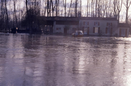 Le Vanneau-Irleau - Inondation bord de Sèvre. Marais poitevin