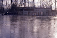 2018 Le Vanneau-Irleau - Inondation bord de Sèvre. Marais poitevin 