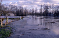 2019 Le Vanneau-Irleau - Inondation bord de Sèvre. Marais poitevin 