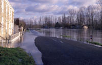 2021 Le Vanneau-Irleau - Inondation bord de Sèvre. Marais poitevin 