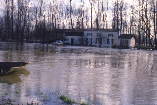 Le Vanneau-Irleau - Inondation bord de Sèvre. Marais poitevin