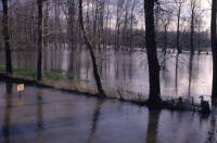 2024 Le Vanneau-Irleau - Inondation bord de Sèvre. Marais poitevin 
