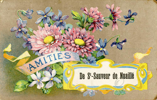 Amitiés de Saint-Sauveur-d'Aunis. Marais poitevin