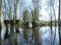 2232 Le Vanneau - Le marais inondé en mars 2001. Marais poitevin 