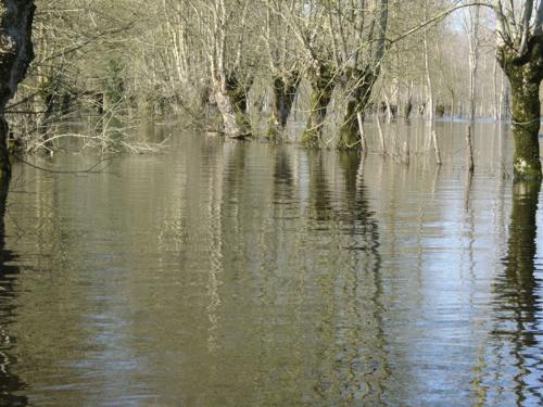 Le Vanneau - Le marais inondé en mars 2001. Marais poitevin