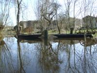 2246 Le Vanneau - Le marais inondé en mars 2001. Marais poitevin 