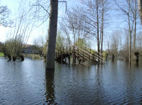 2250 Le Vanneau - Le marais inondé en mars 2001. Marais poitevin 