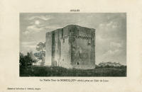 2581 Angles - La vieille Tour de Moricq (XVe). Marais poitevin 
