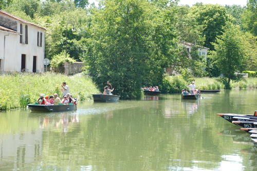 Coulon - Tourisme fluvial, Venise Verte. Marais poitevin