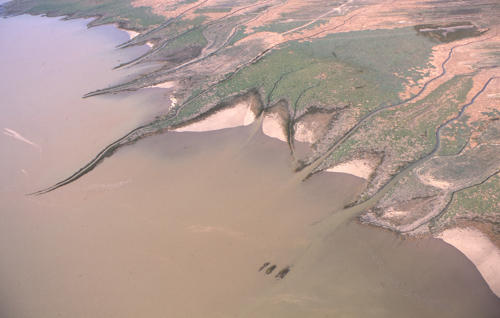 L'Aiguillon-sur-Mer - Mizottes et polders dans la baie de l'Aiguillon. Marais poitevin