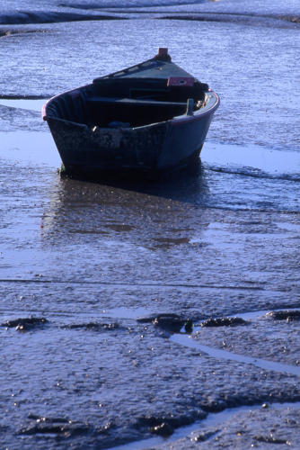 L'Aiguillon-sur-Mer - Une barque sur une vasière. Marais poitevin