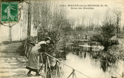 Mauzé-sur-le-Mignon - Sous les Moulins. Marais poitevin
