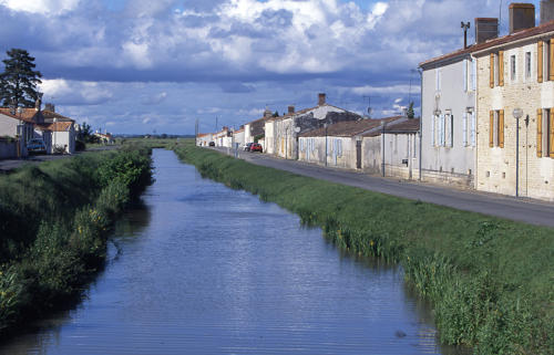 Champagné-les-Marais - Le Canal de Champagné. Marais poitevin