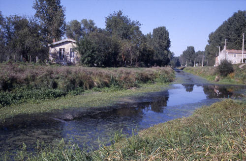Saint-Sigismond - Le canal de la Vieille Autise. Marais poitevin