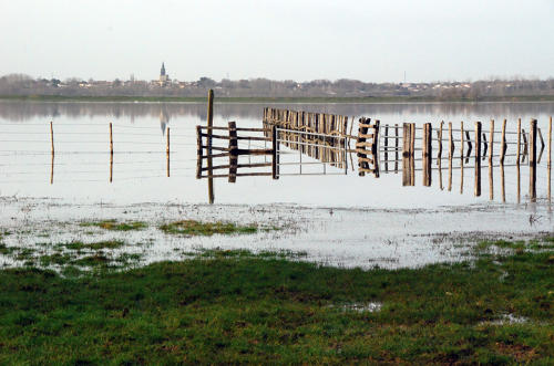 Lairoux - Le marais communal inondé, décembre 2012. Marais poitevin