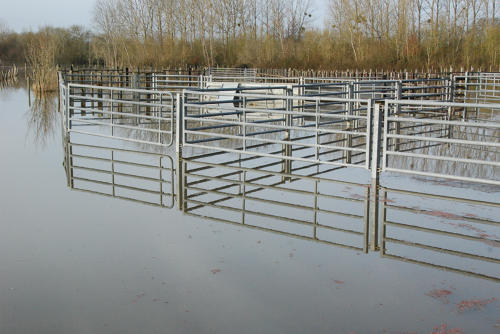 Lairoux - Le parc de contention du marais communal inondé. Marais poitevin