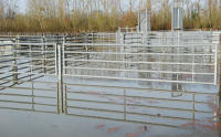 3297 Lairoux - Le parc de contention du marais communal inondé. Marais poitevin 