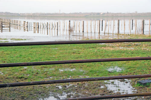 Lairoux - Marais communal inondé. Marais poitevin