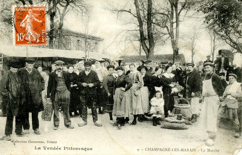 Champagné-les-Marais - Le Marché. Marais poitevin