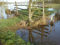 3417 Triaize - Le marais inondé, décembre 2012. Marais poitevin 