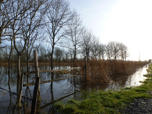 Triaize - Le marais inondé, décembre 2012. Marais poitevin