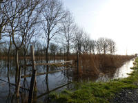 3423 Triaize - Le marais inondé, décembre 2012. Marais poitevin 