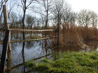 3425 Triaize - Le marais inondé, décembre 2012. Marais poitevin 