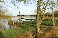 3427 Triaize - Le marais inondé, décembre 2012. Marais poitevin 
