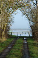 3434 Triaize - Le marais inondé, décembre 2012. Marais poitevin 